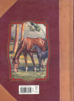 Black Beauty (Youth Literary Classics),Used