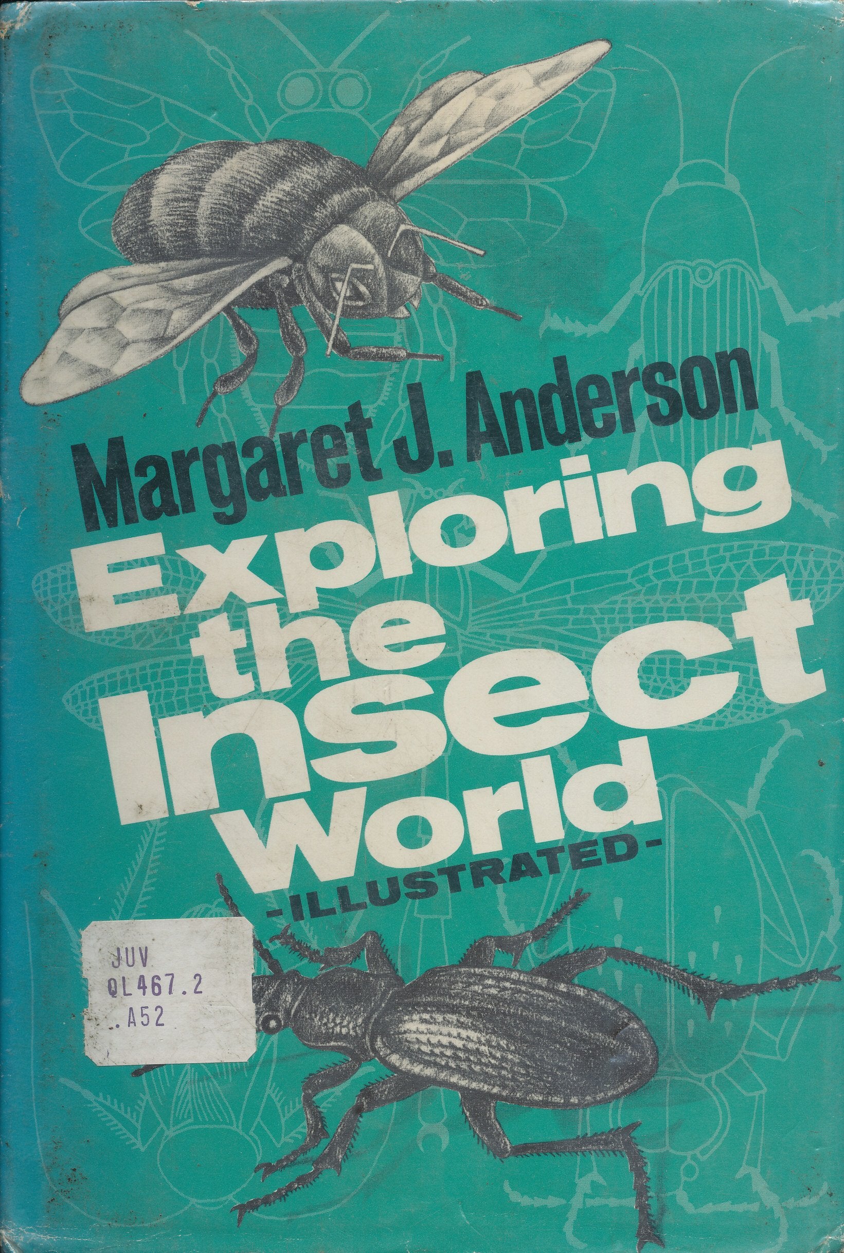 Exploring the insect world,,Used