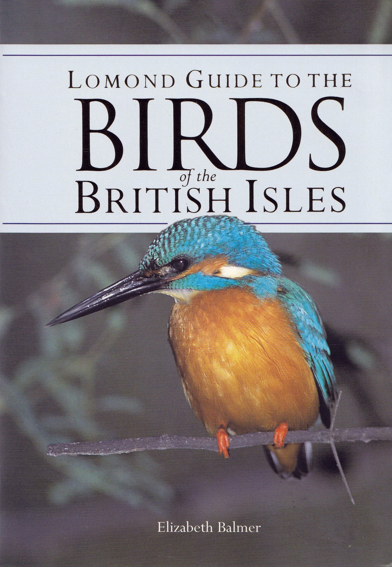 Lomond Guide to Birds of the British Isles,Used