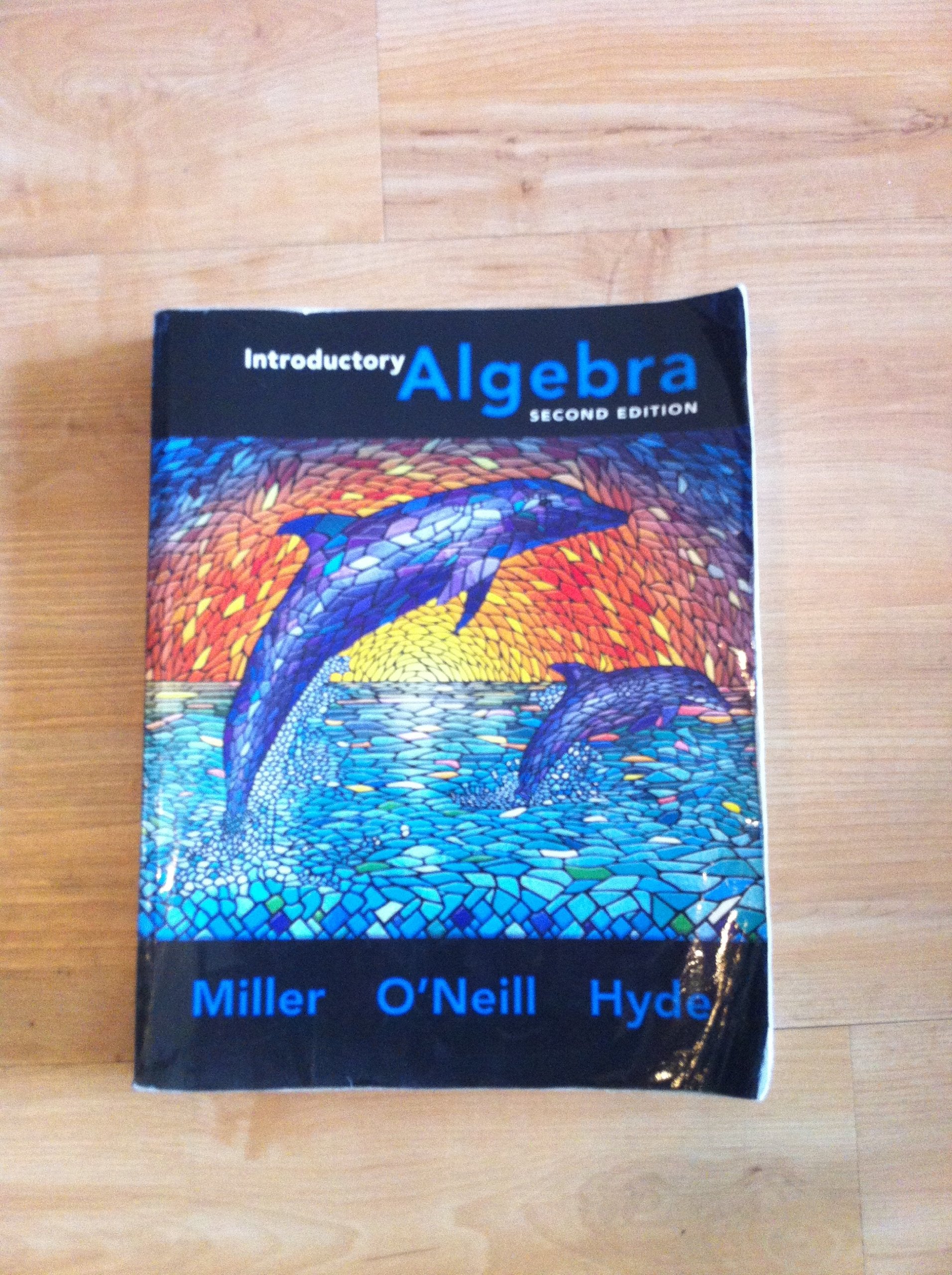 Introductory Algebra,Used