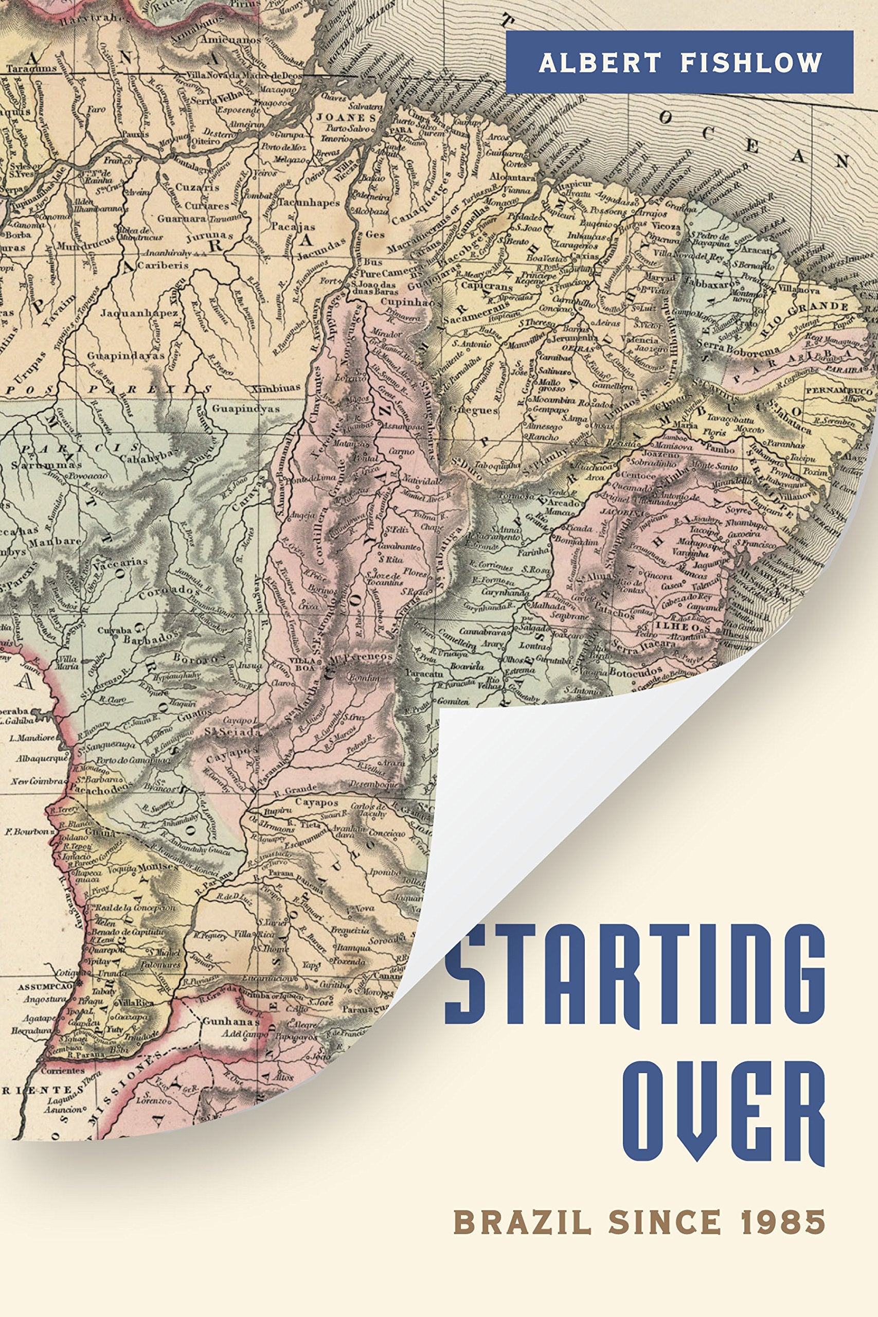 Starting Over: Brazil Since 1985 (A Brookings Latin America Initiative),Used