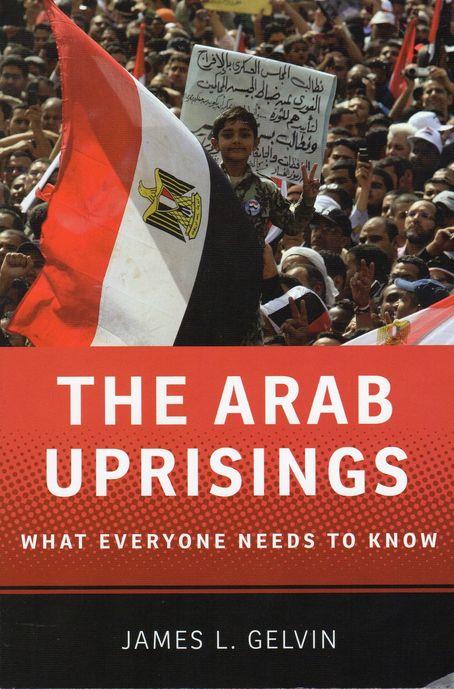 The Arab Uprisings: What Everyone Needs to Know,New