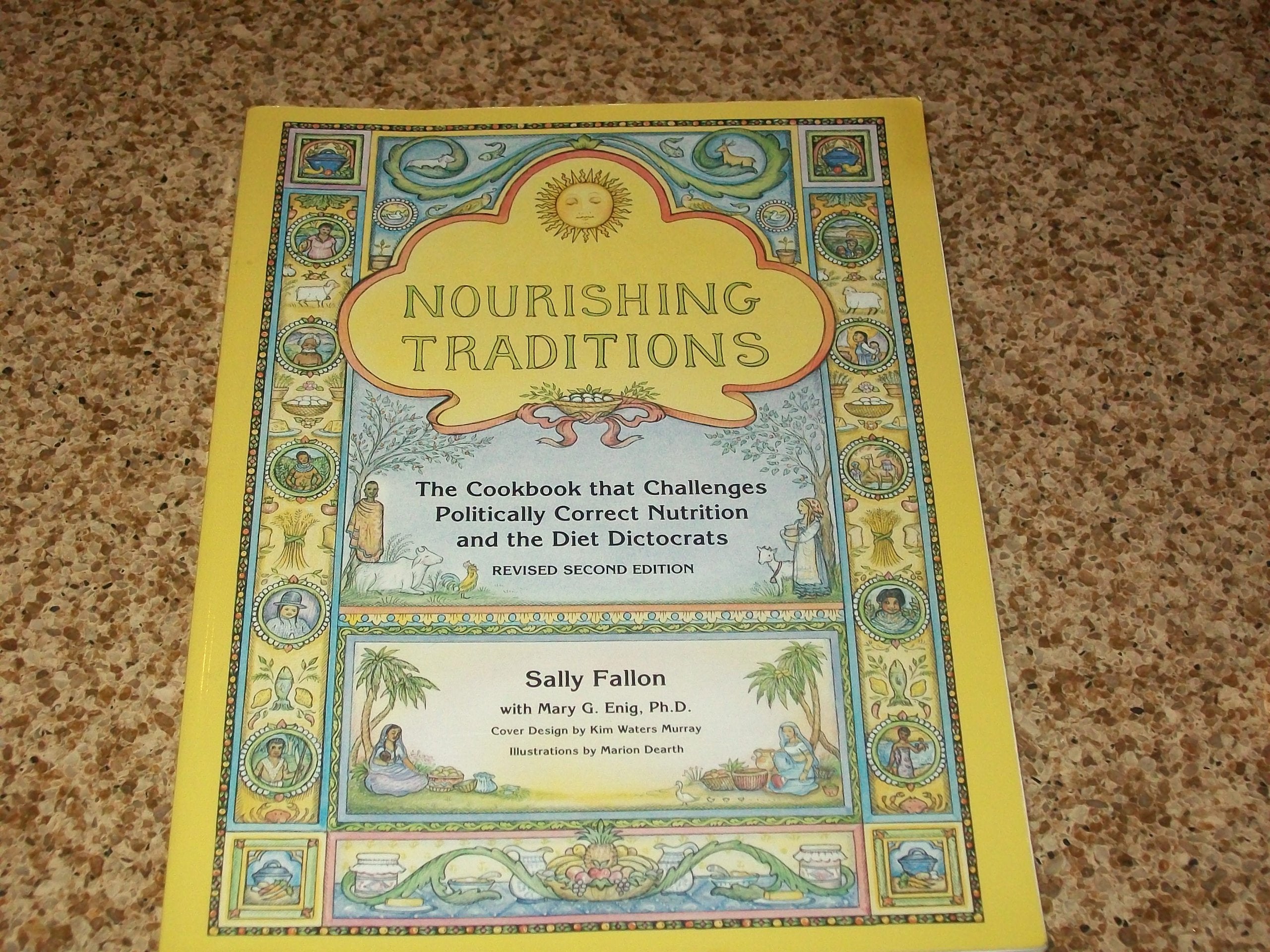 Books Nourishing Traditions  1 book,Used