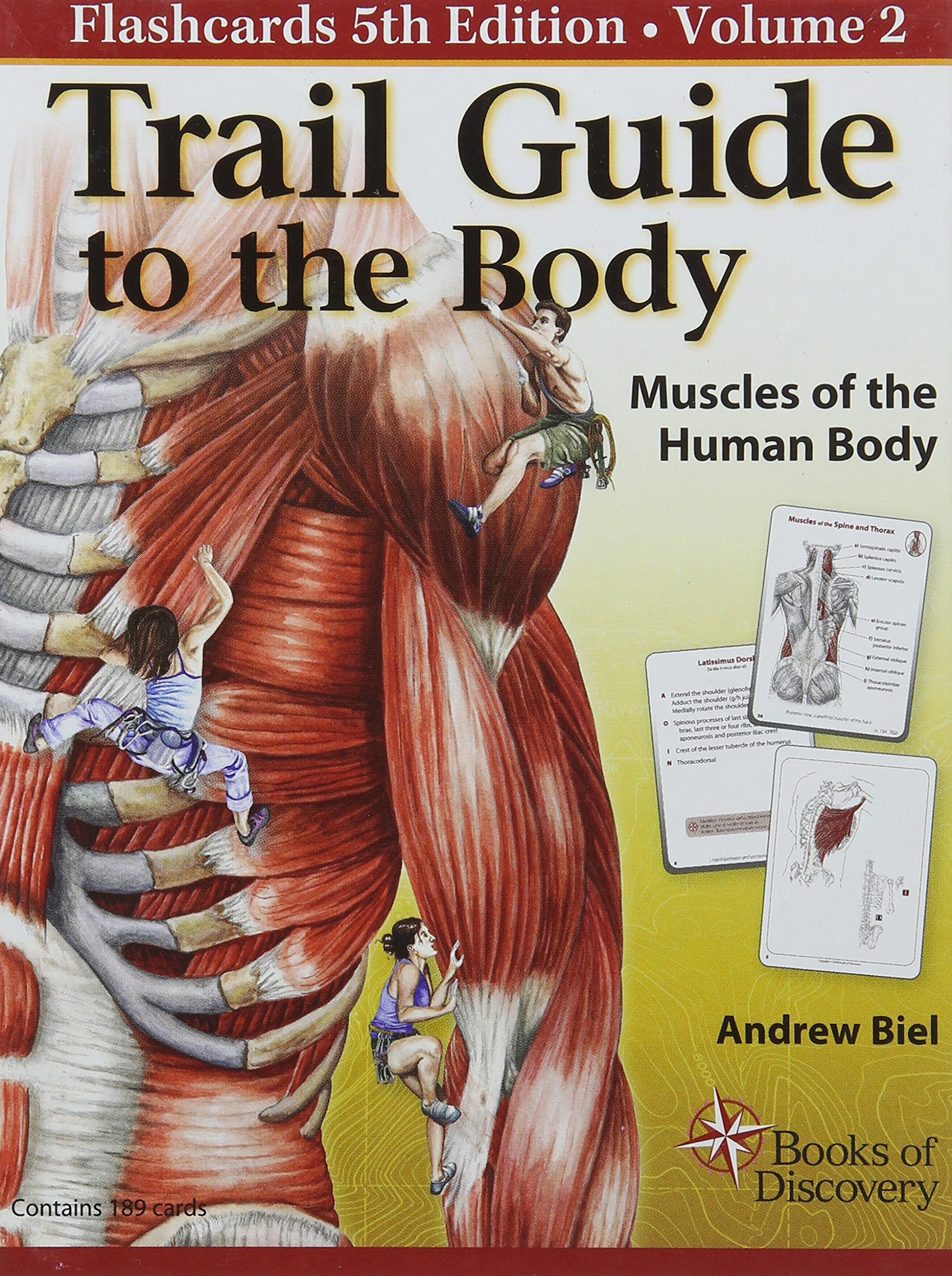 Trail Guide To The Body Flashcards: Muscles Of The Human Body: 2,Used