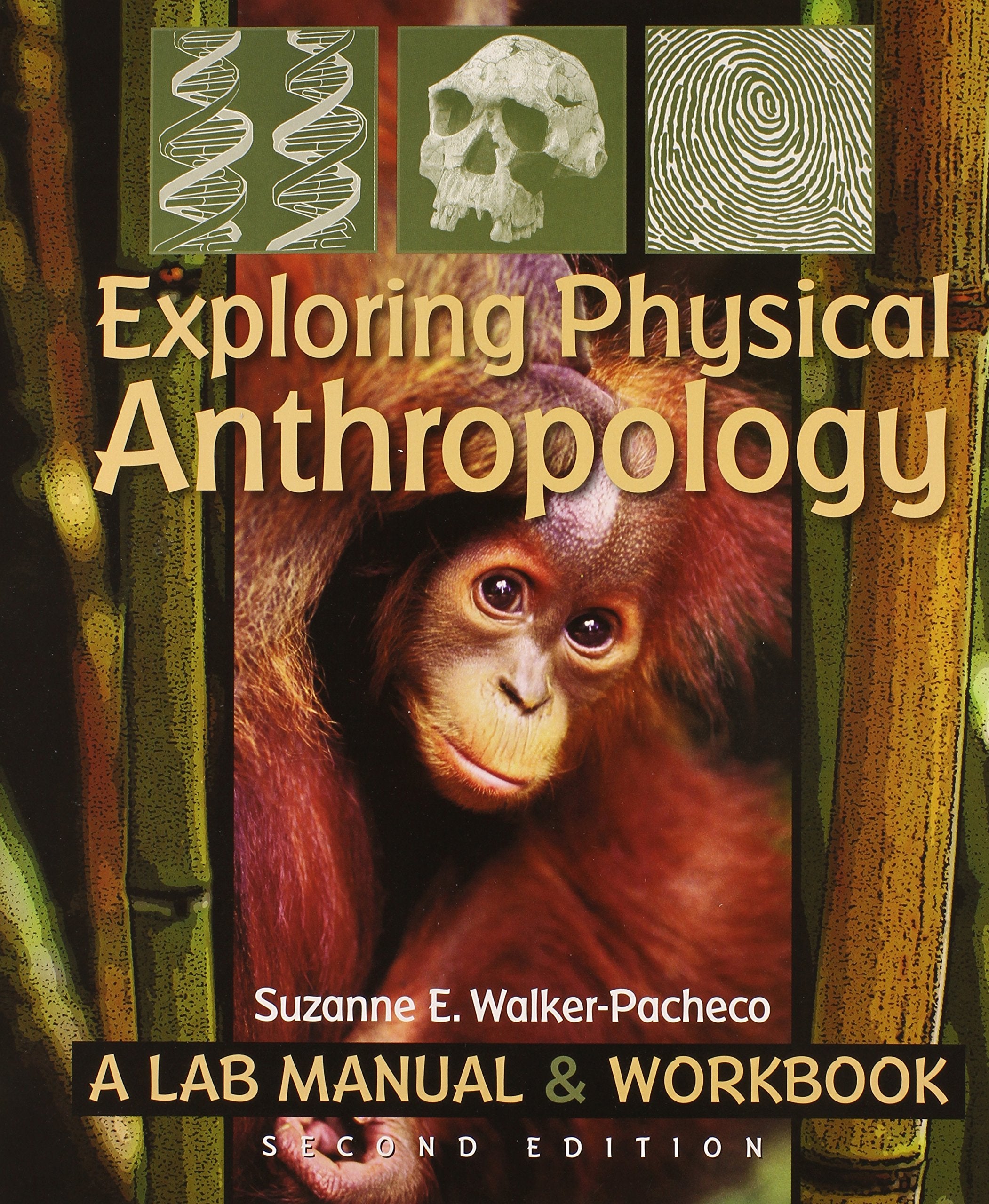 Exploring Physical Anthropology: A Lab Manual & Workbook (2nd Edition),Used