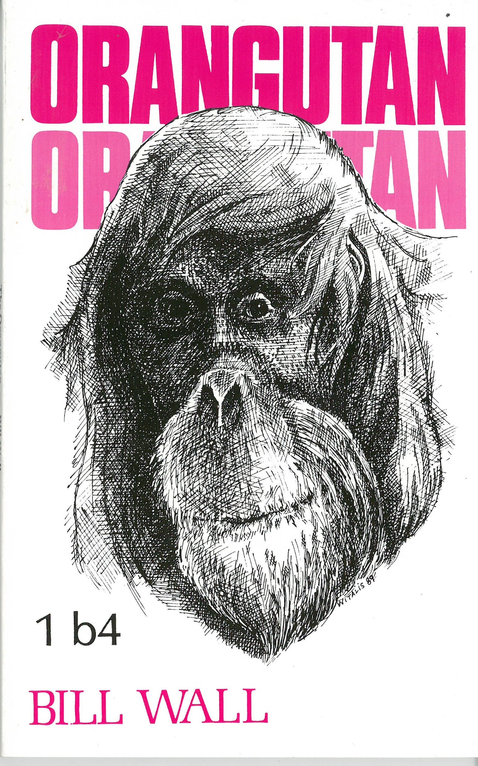 Orangutan,New