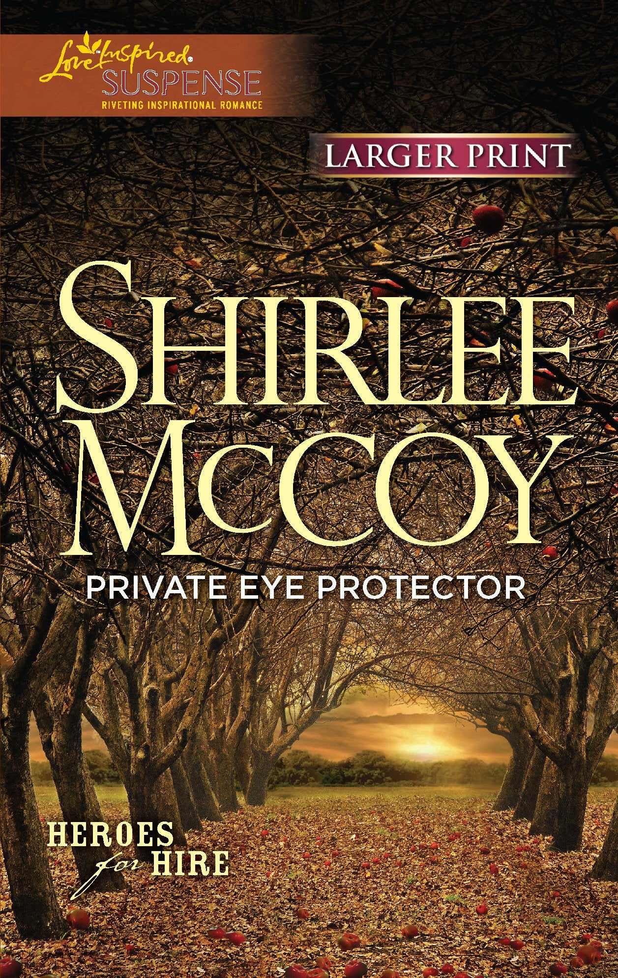 Private Eye Protector (Heroes for Hire, 5),Used