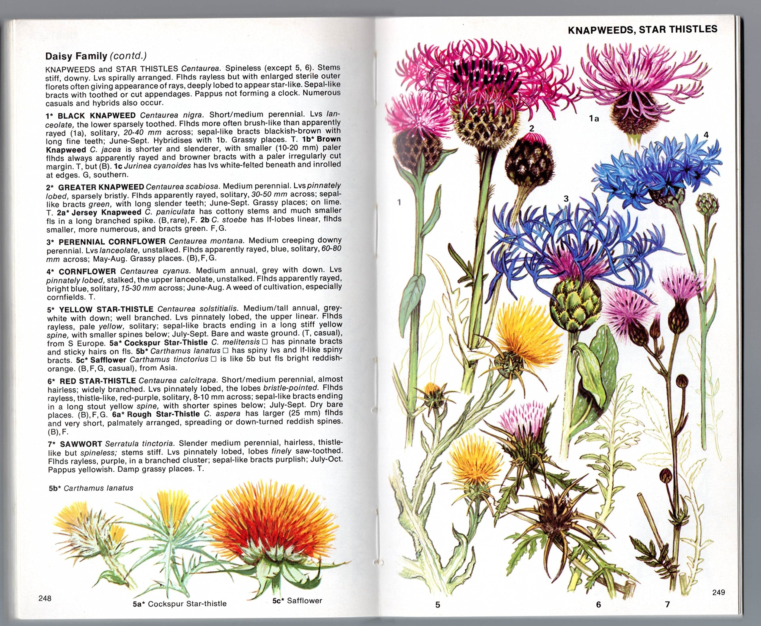 The wild flowers of Britain and northern Europe,,New