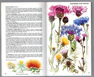 The wild flowers of Britain and northern Europe,,New