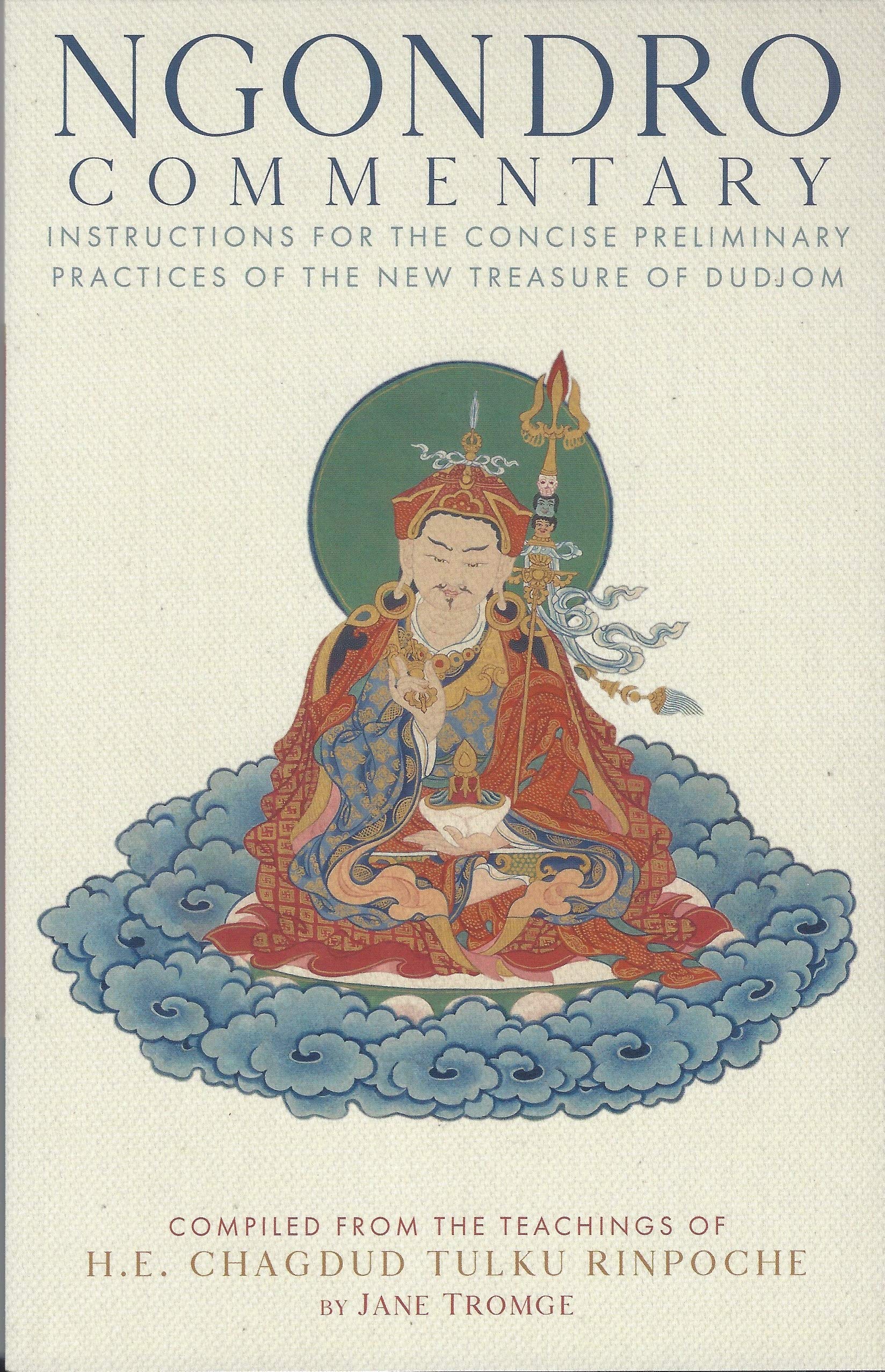 Ngondro Commentary: Instructions For The Concise Preliminary Practices Of The New Treasure Of Dudjom