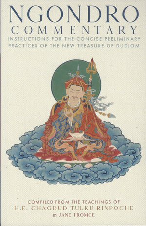Ngondro Commentary: Instructions For The Concise Preliminary Practices Of The New Treasure Of Dudjom