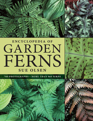 Encyclopedia of Garden Ferns,Used