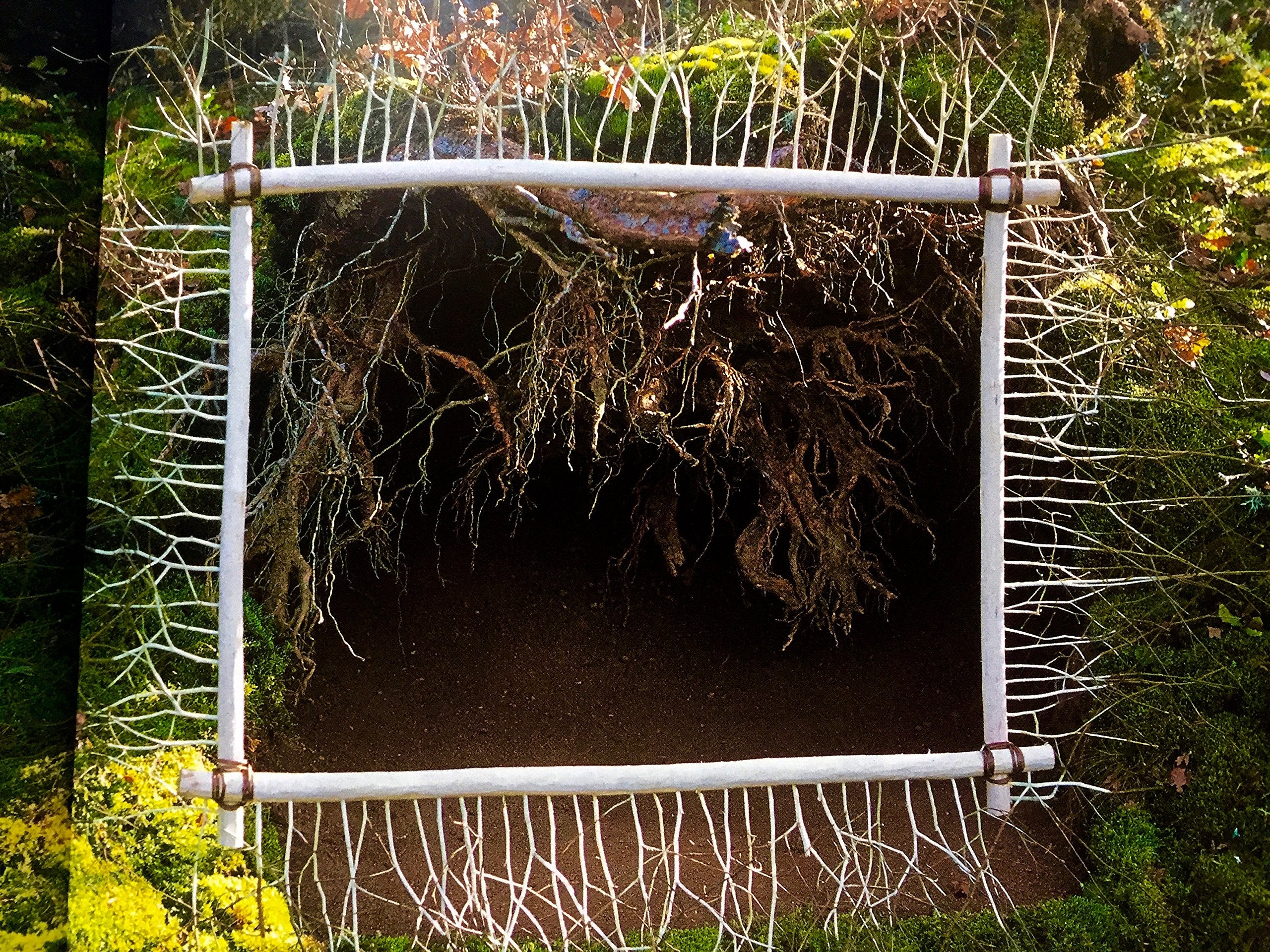 Nils Udo: Art In Nature,Used