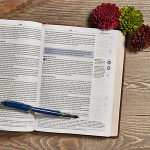 CSB Life Connections Study Bible, Brown LeatherTouch, Black Letter, Study Notes and Commentary, Margin Questions, Icons, Small G,New