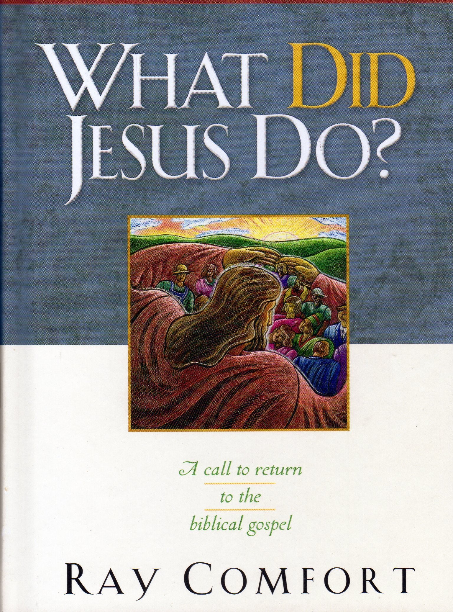 What Did Jesus Do? : A Call to Return to the Biblical Gospel,Used