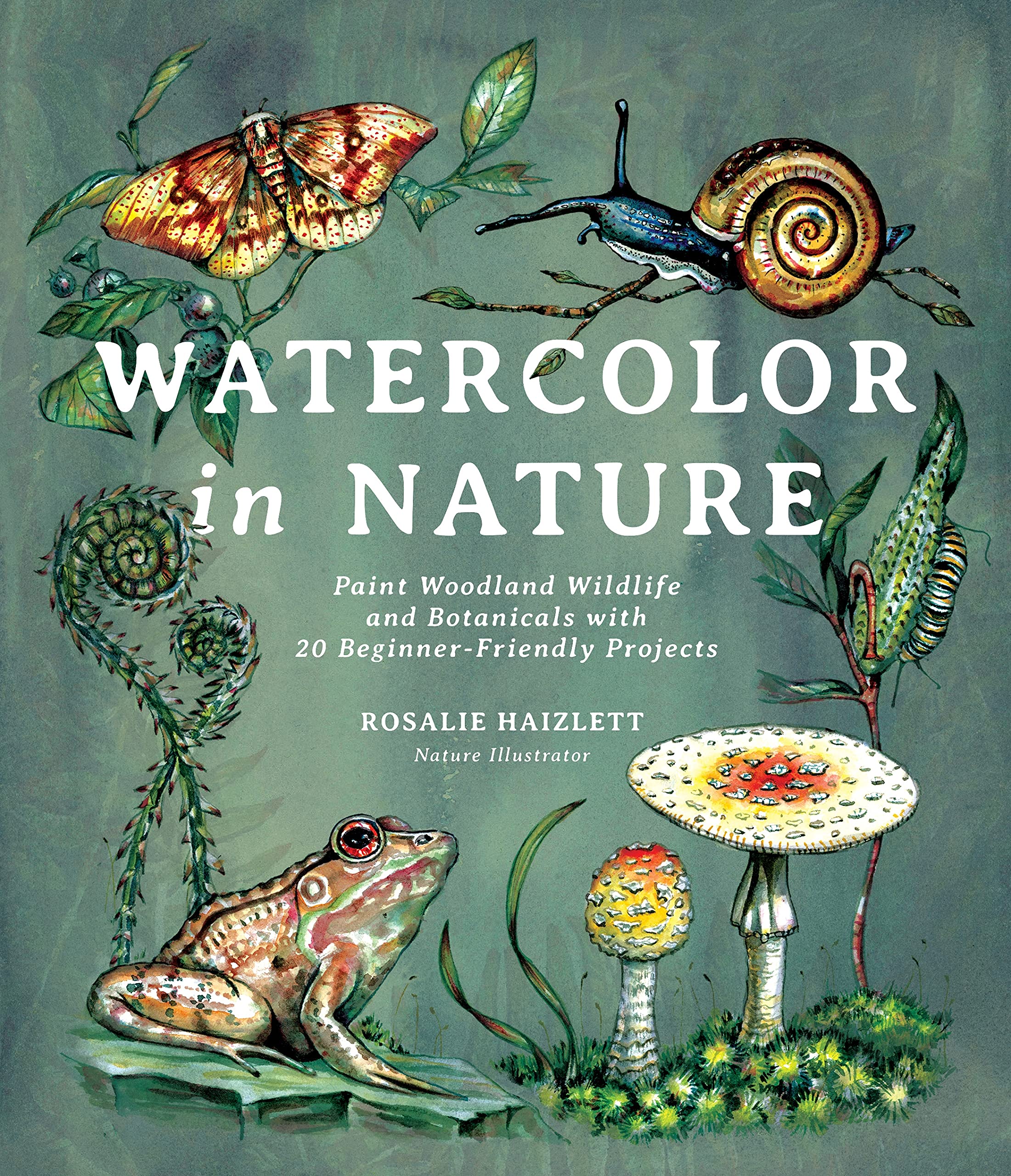 Watercolor in Nature: Paint Woodland Wildlife and Botanicals with 20 BeginnerFriendly Projects,Used