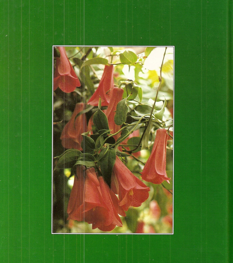 The Rhs Encyclopedia of House Plants: Including Greenhouse Plants,Used