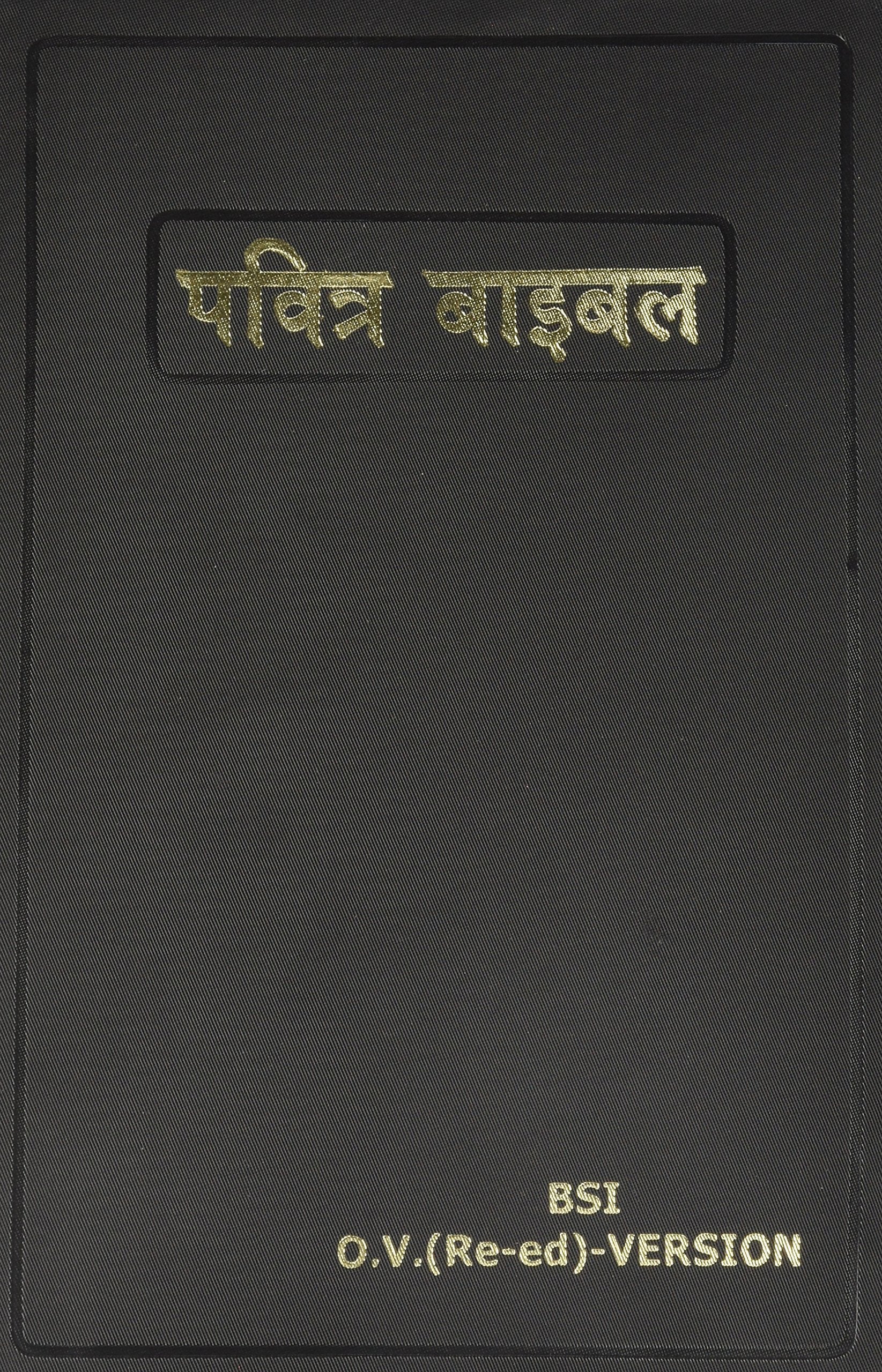 Hindi Bible (Hindi Edition),Used