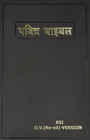 Hindi Bible (Hindi Edition),Used
