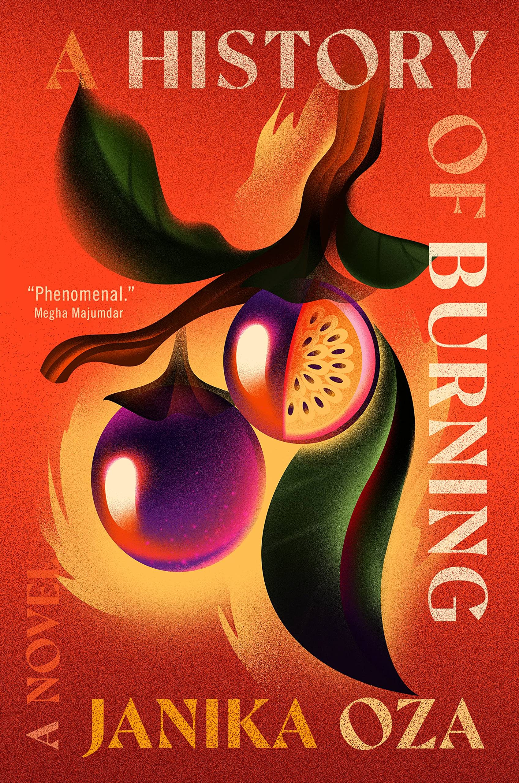 A History Of Burning