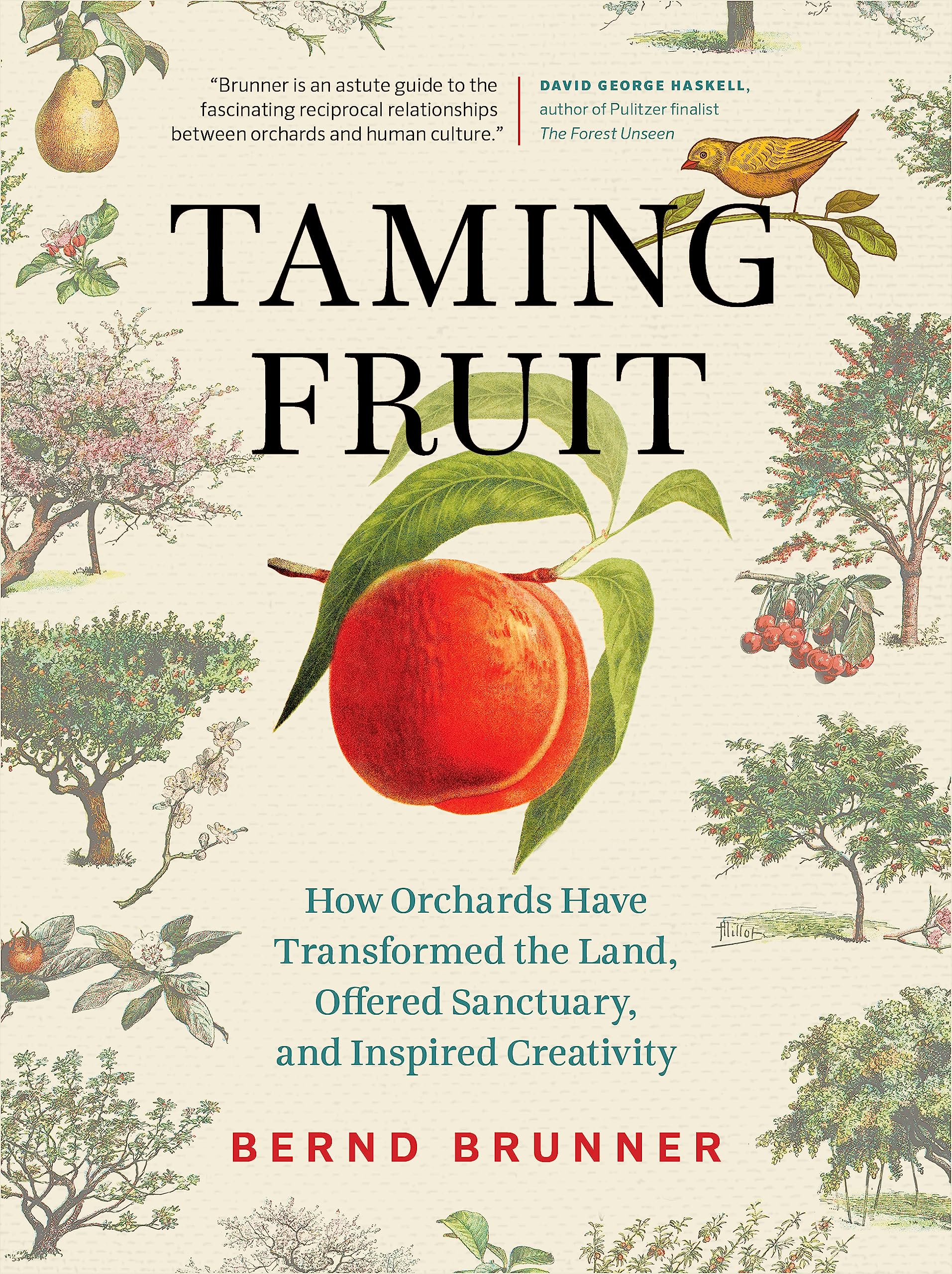 Taming Fruit: How Orchards Have Transformed the Land, Offered Sanctuary, and Inspired Creativity,Used