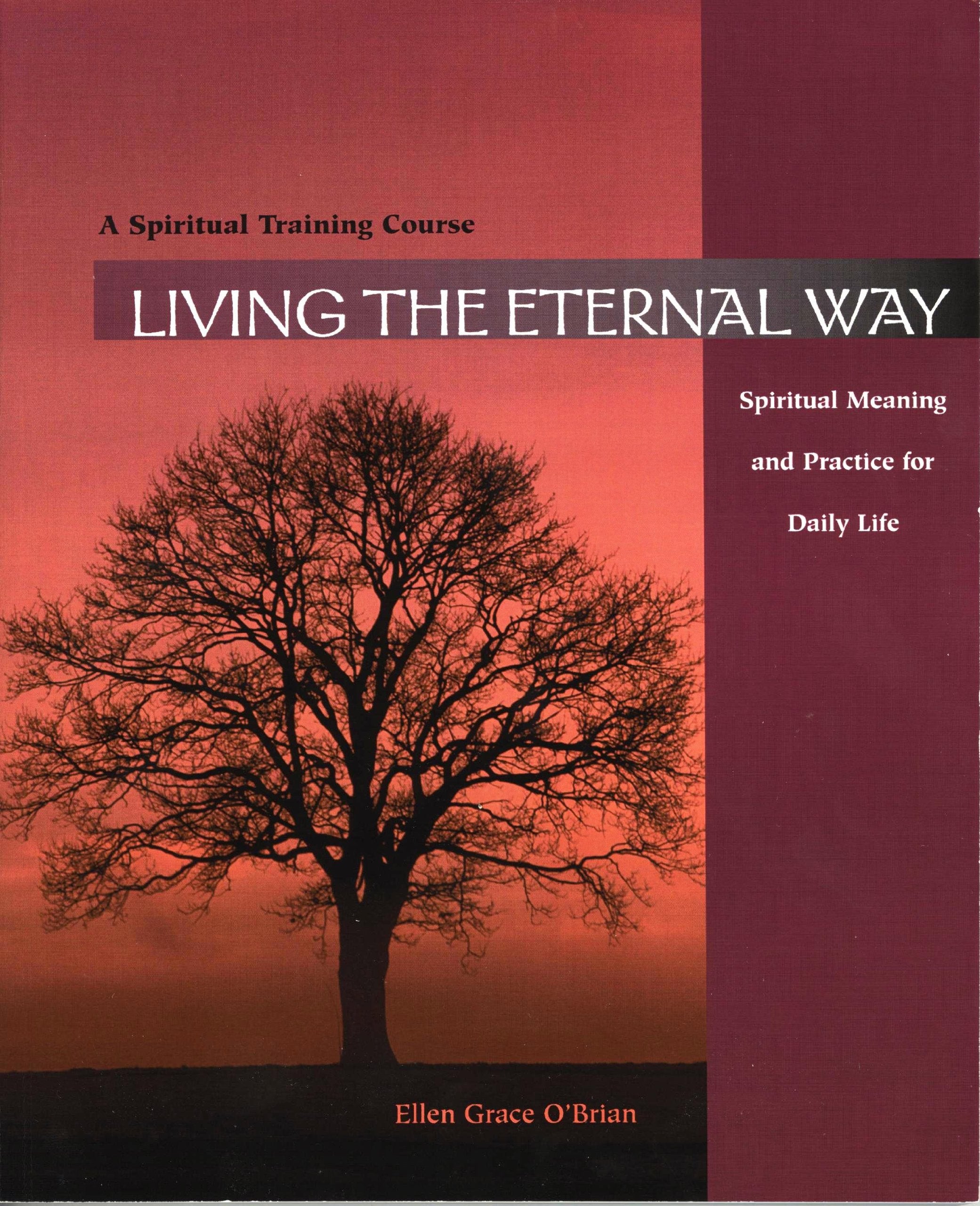 Living The Eternal Way: Spiritual Meaning And Practice For Daily Life : A Spiritual Training Course-used