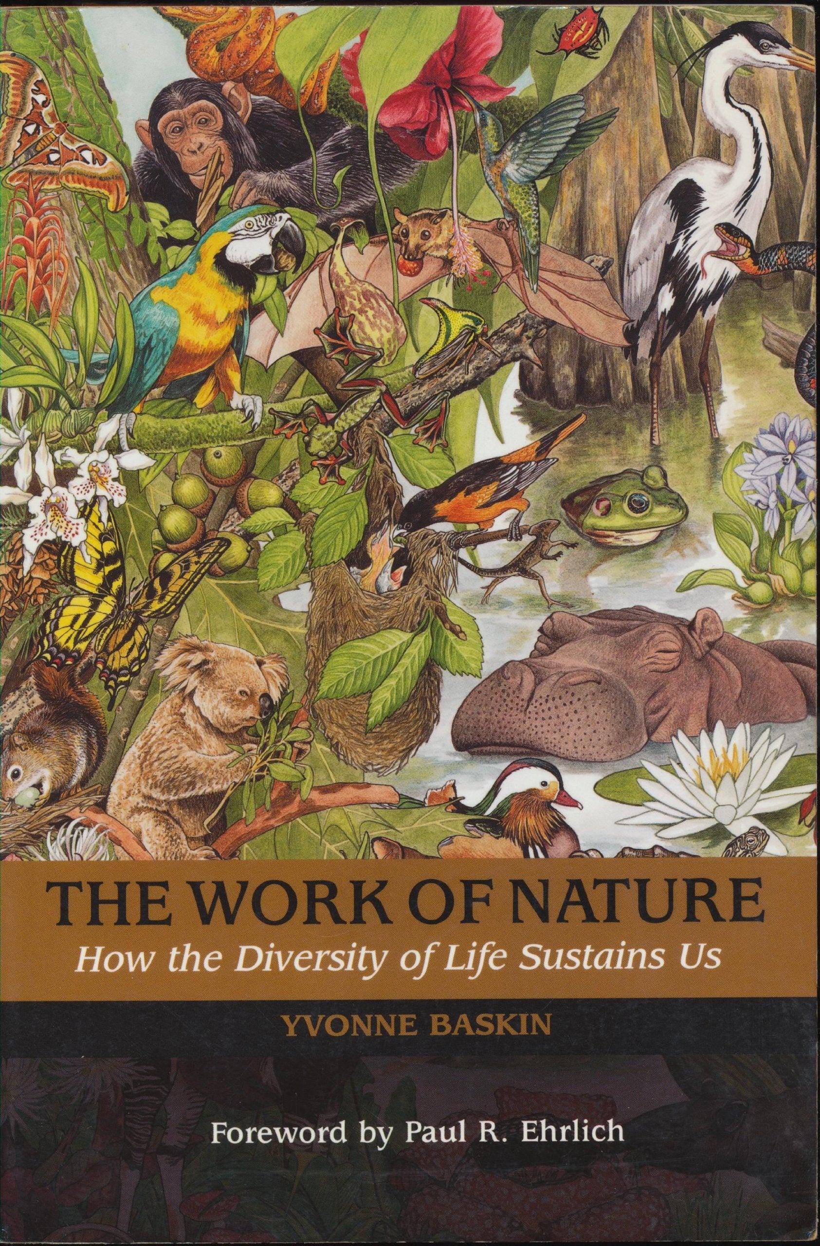 The Work of Nature: How The Diversity Of Life Sustains Us,Used