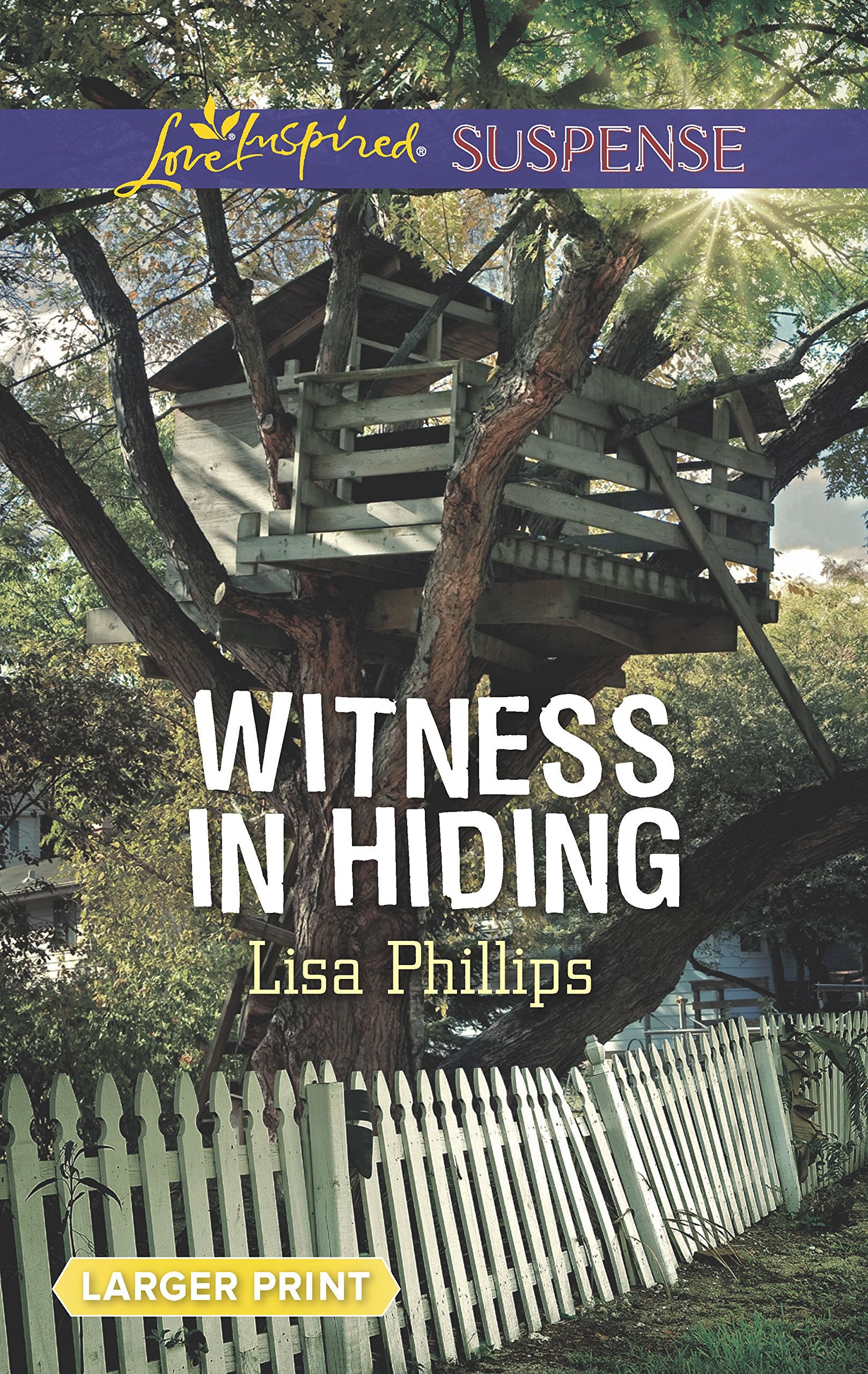 Witness in Hiding (Secret Service Agents, 4),Used