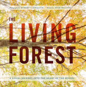 The Living Forest: A Visual Journey Into the Heart of the Woods,New