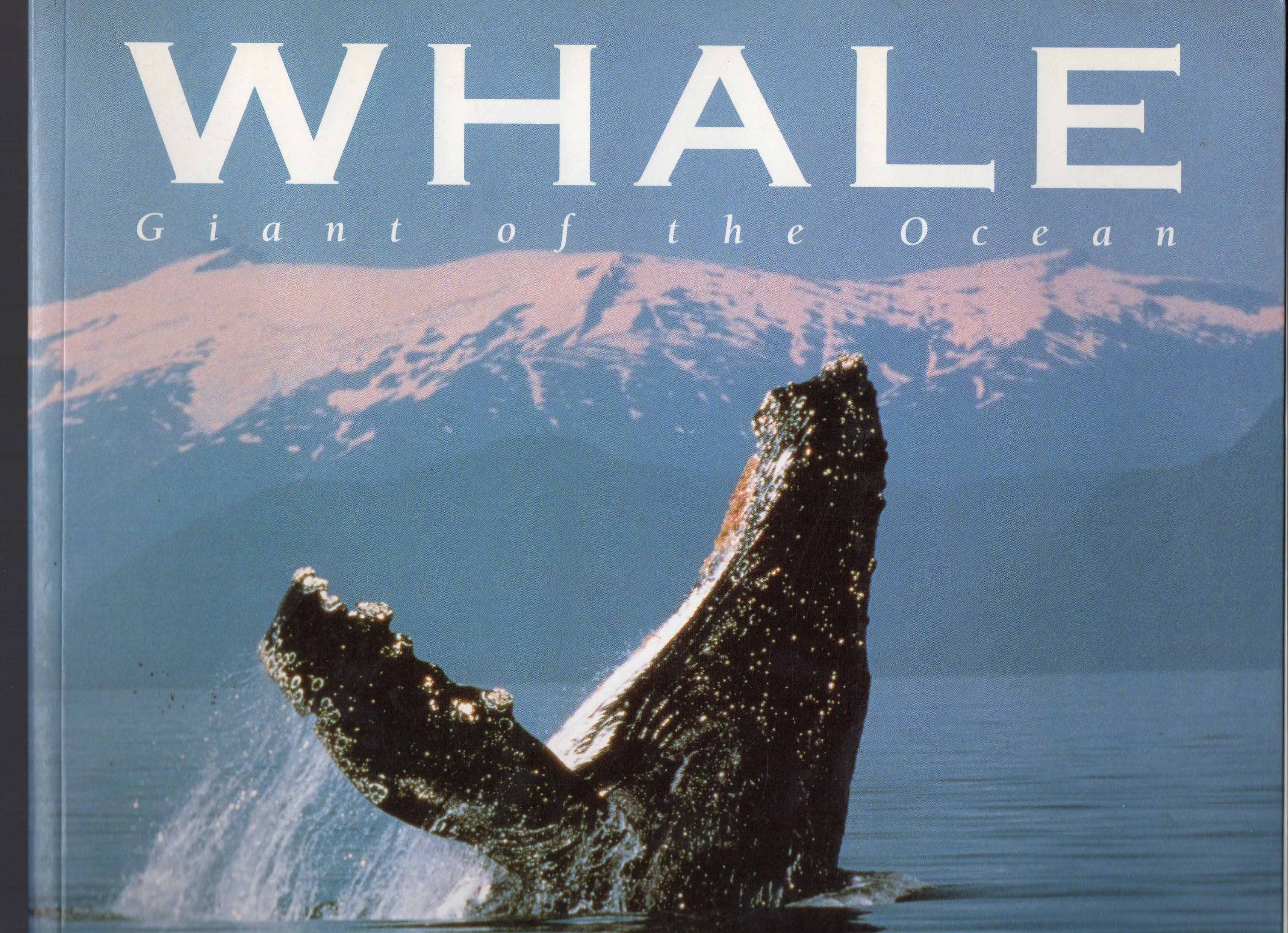 Whale: Giant of the Ocean,Used