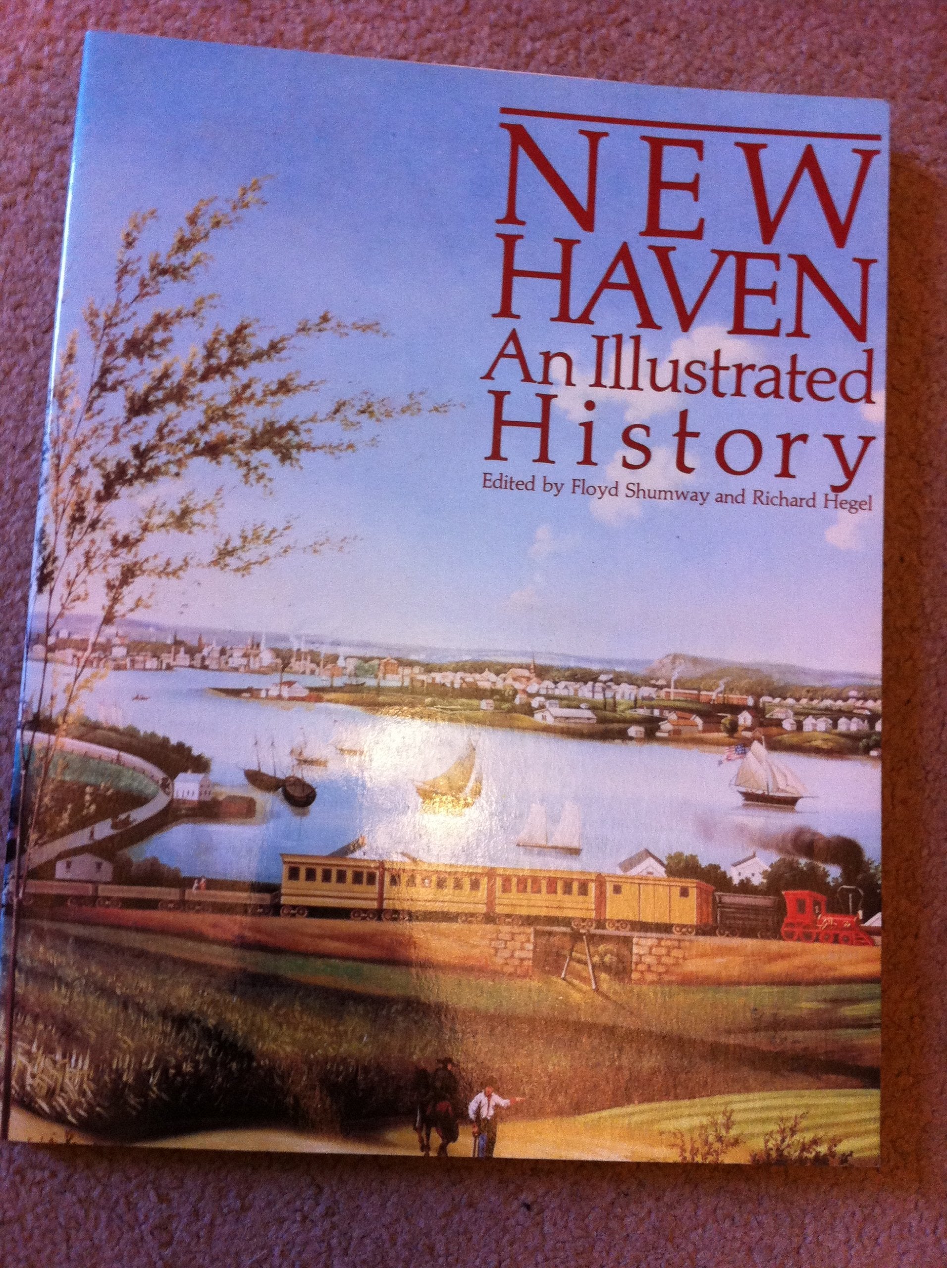 New Haven: An Illustrated History,Used