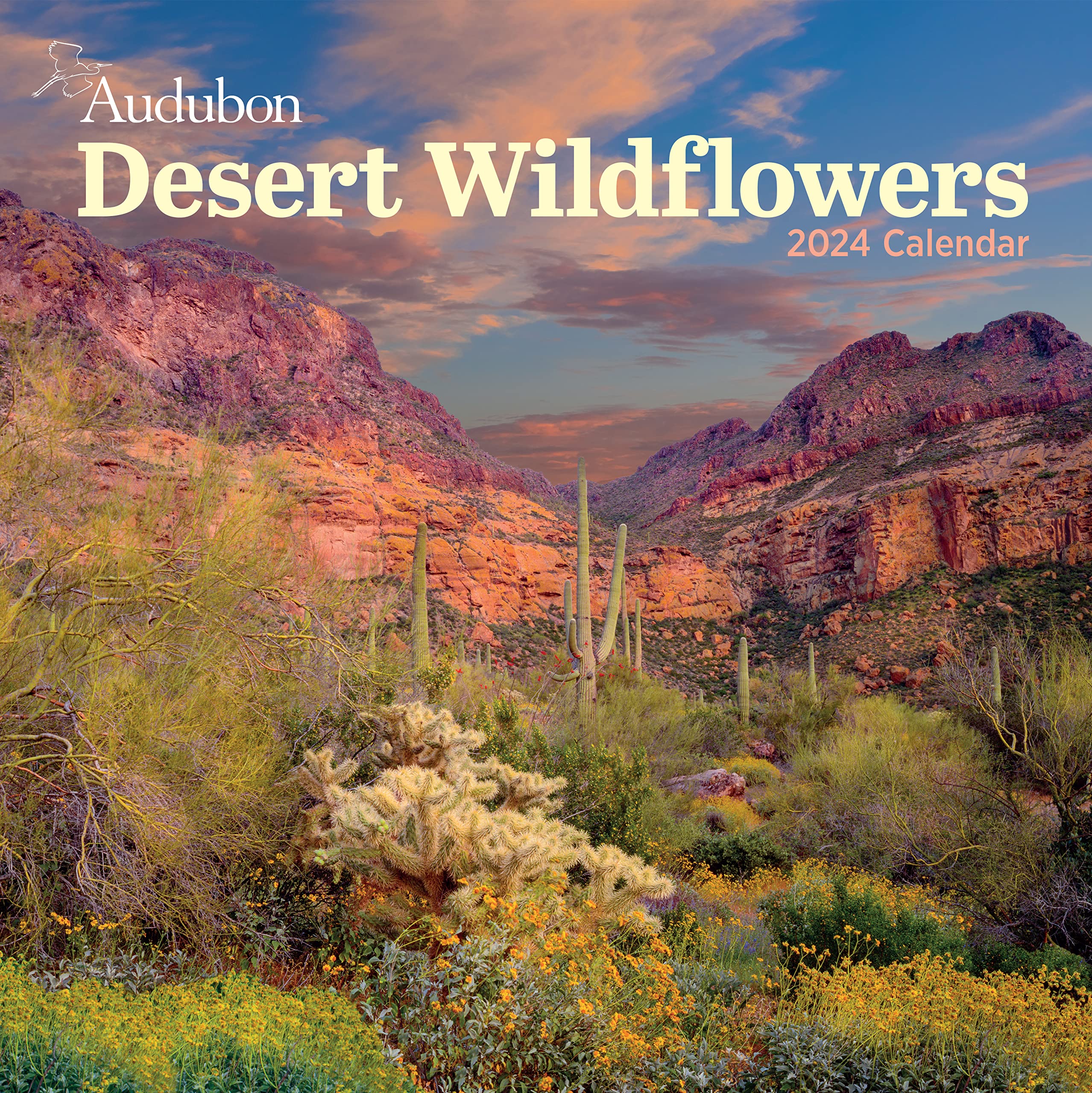 Audubon Desert Wildflowers Wall Calendar 2024: A Visual Delight For Nature Lovers