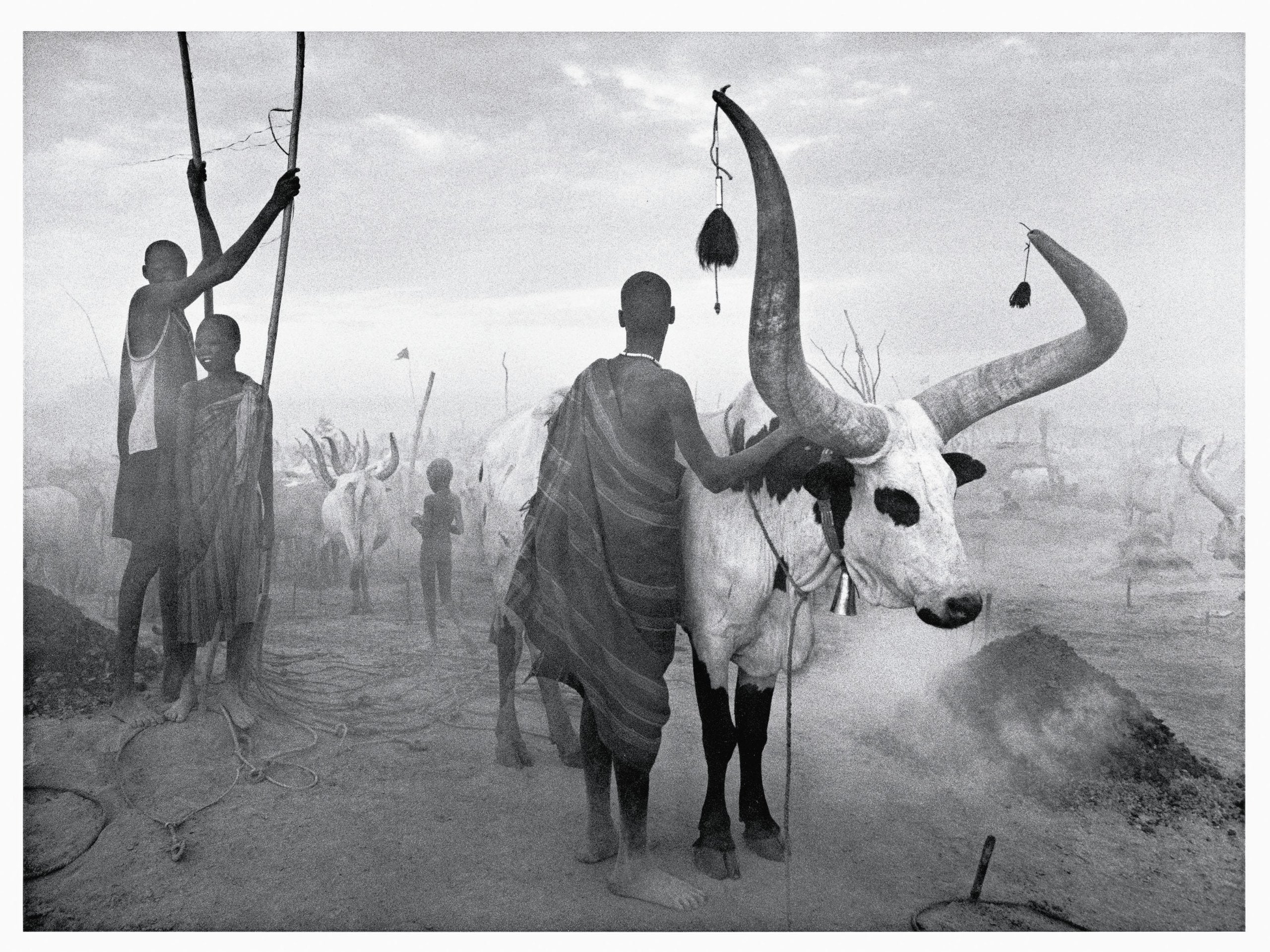 Africa: Sabastiao Salgado,Used