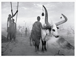 Africa: Sabastiao Salgado,Used