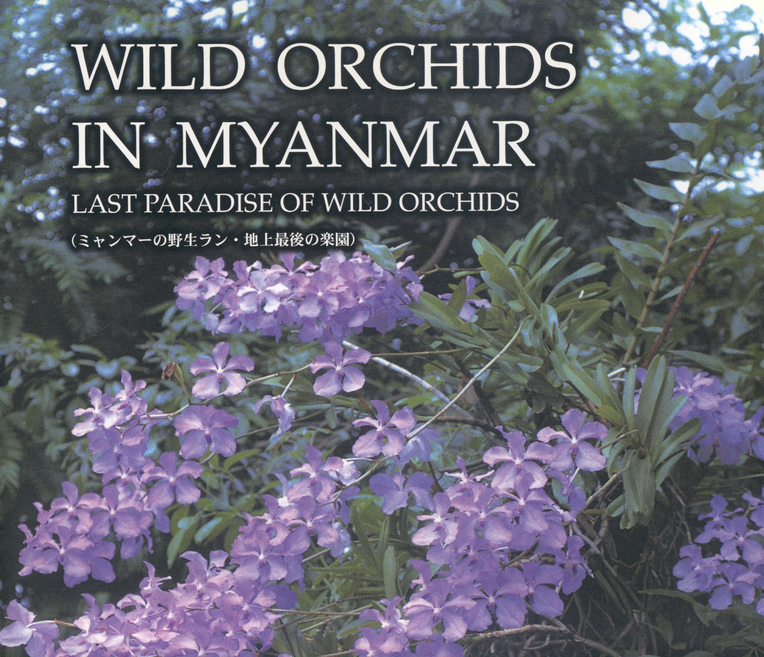 Wild Orchids in Myanmar Vol. 1: Last Paradise of Wild Orchids,Used