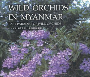 Wild Orchids in Myanmar Vol. 1: Last Paradise of Wild Orchids,Used