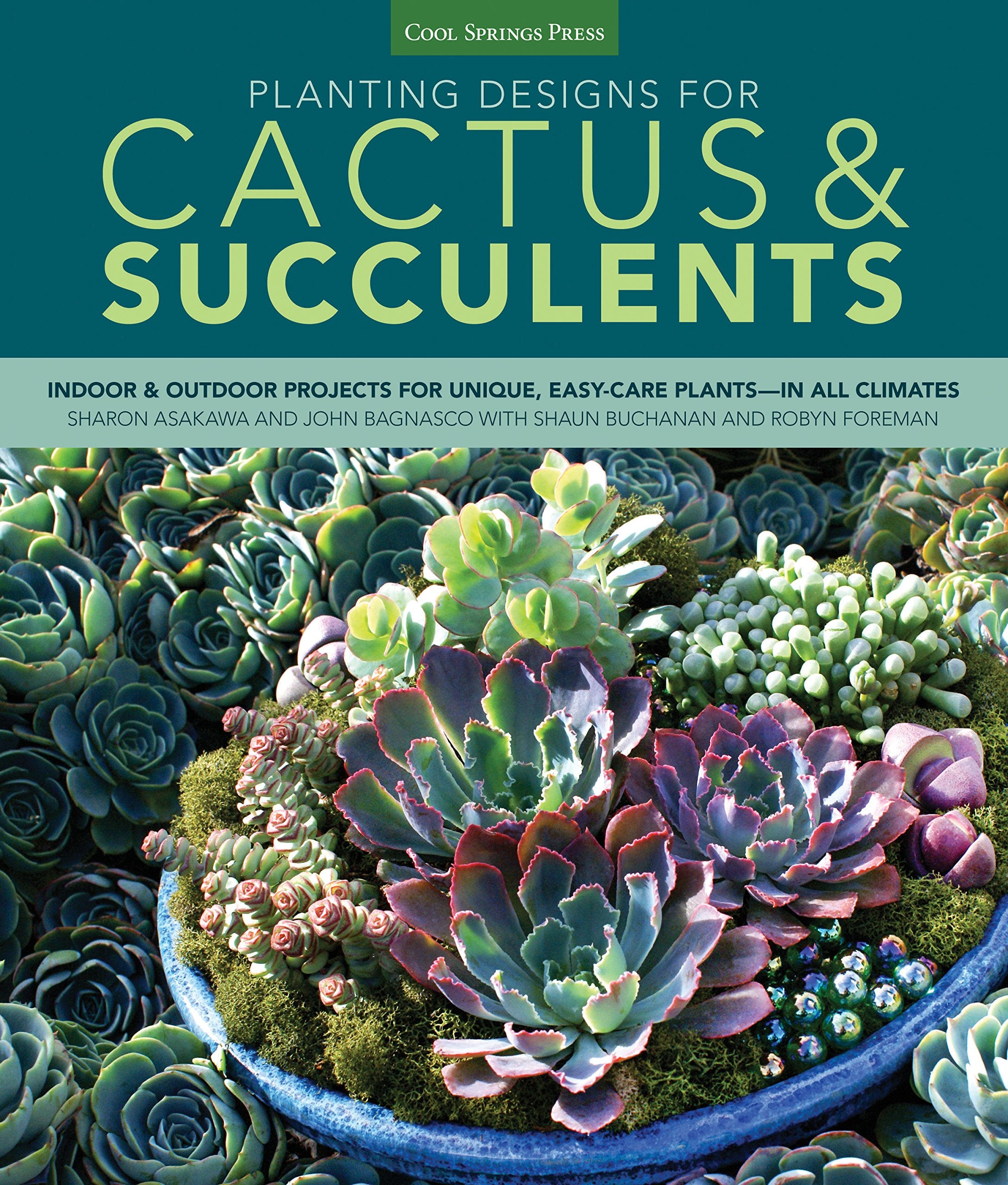 Planting Designs For Cactus & Succulents: Indoor And Outdoor Projects For Unique, Easycare Plantsin All Climates