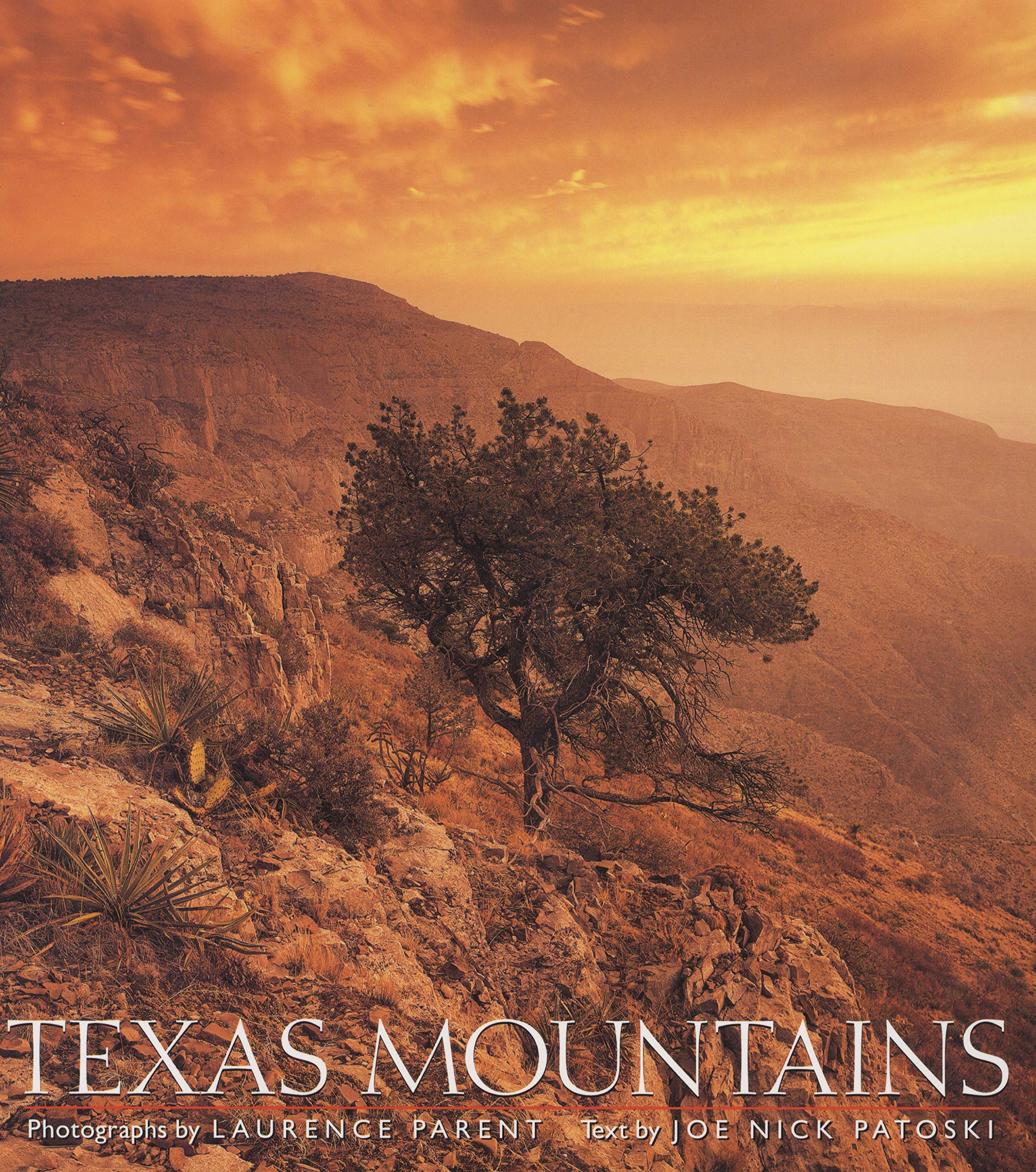 Texas Mountains