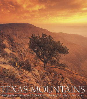 Texas Mountains