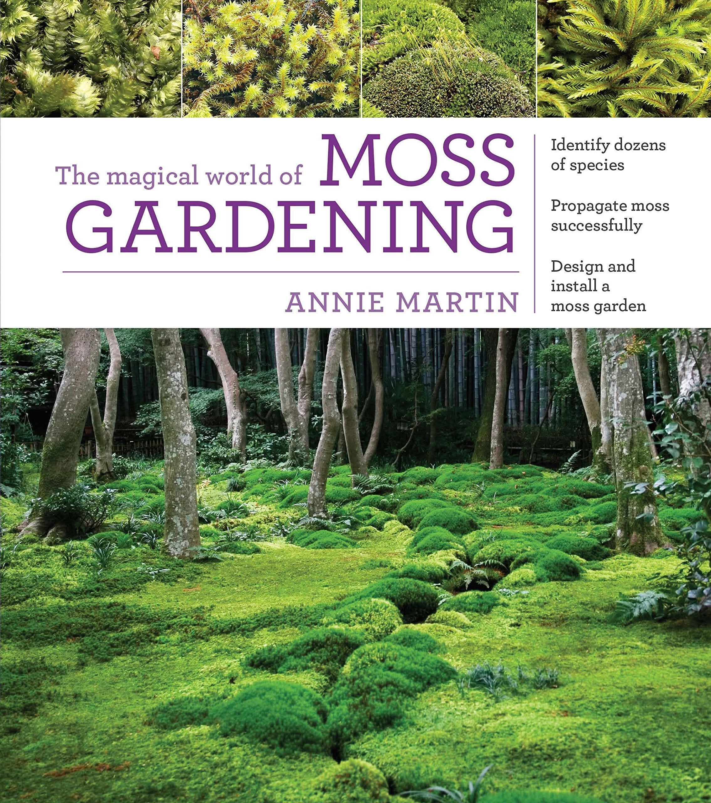 The Magical World Of Moss Gardening