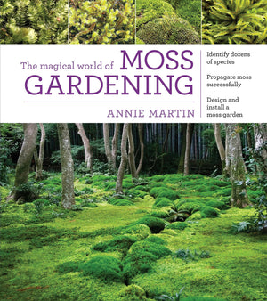 The Magical World Of Moss Gardening