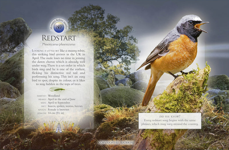 Little Book Of The Dawn Chorus,New