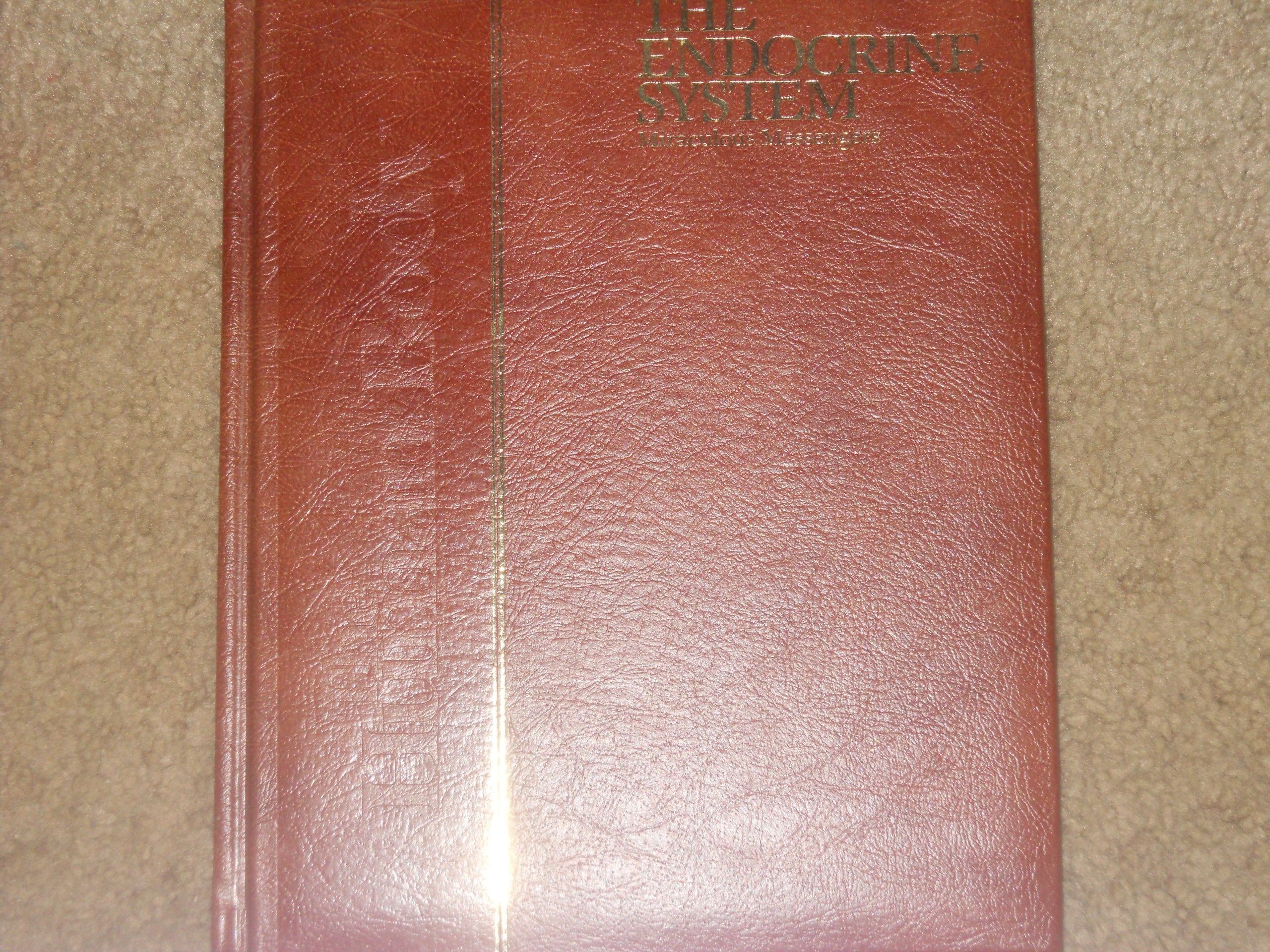 The Endocrine System: Miraculous Messengers (The Human Body),New