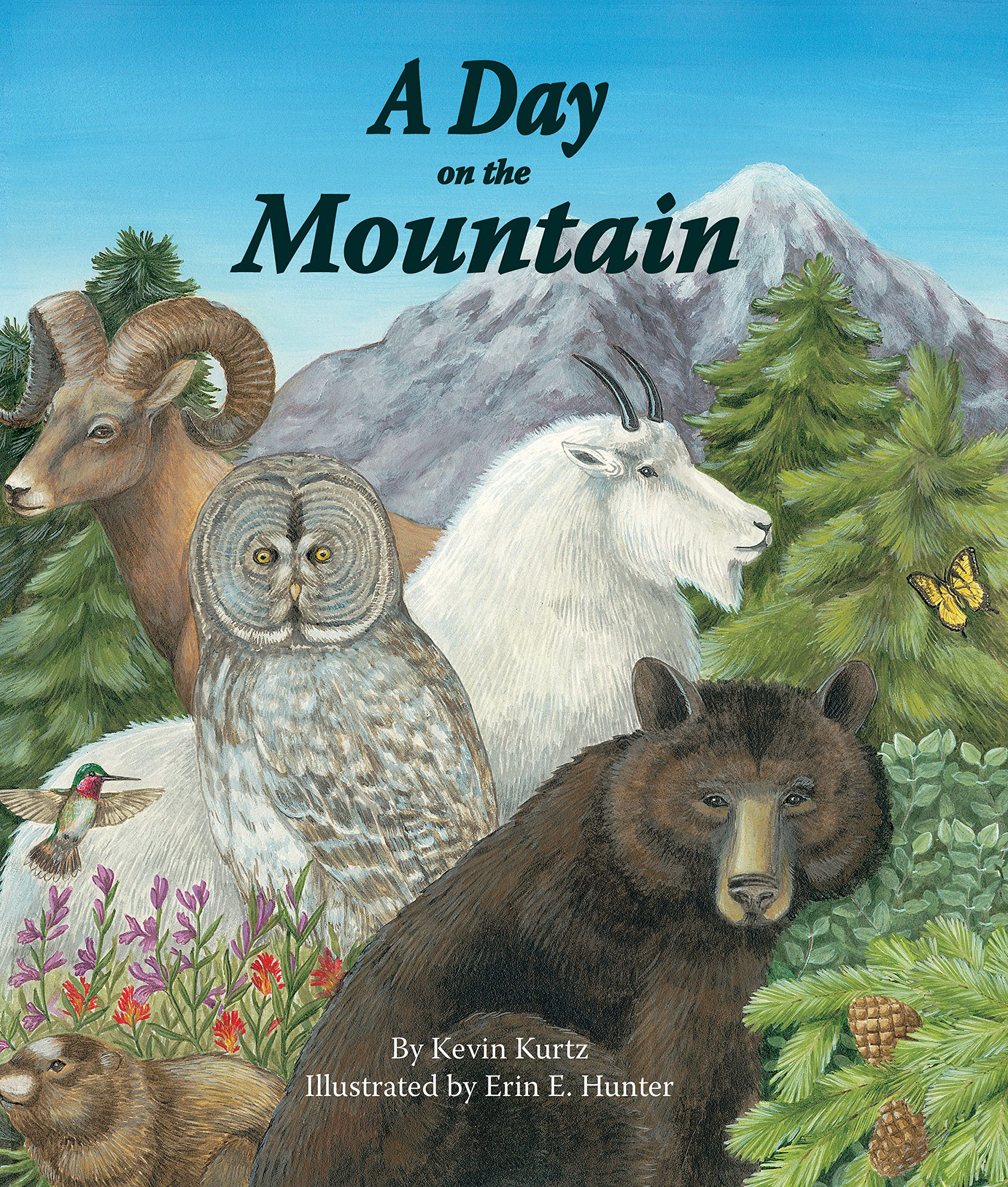 A Day On The Mountain (Arbordale Collection),Used