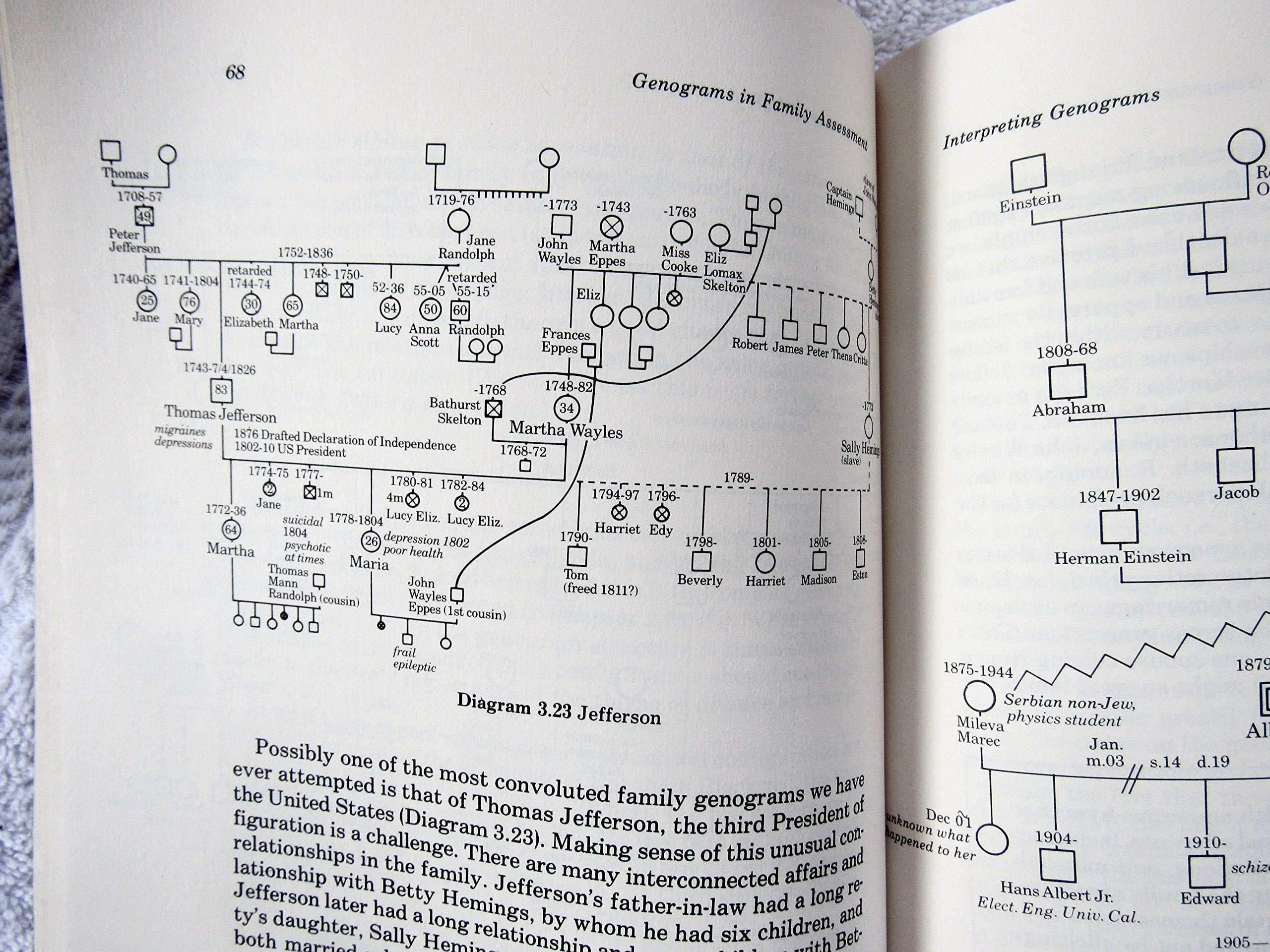 Genograms in Family Assessment,Used