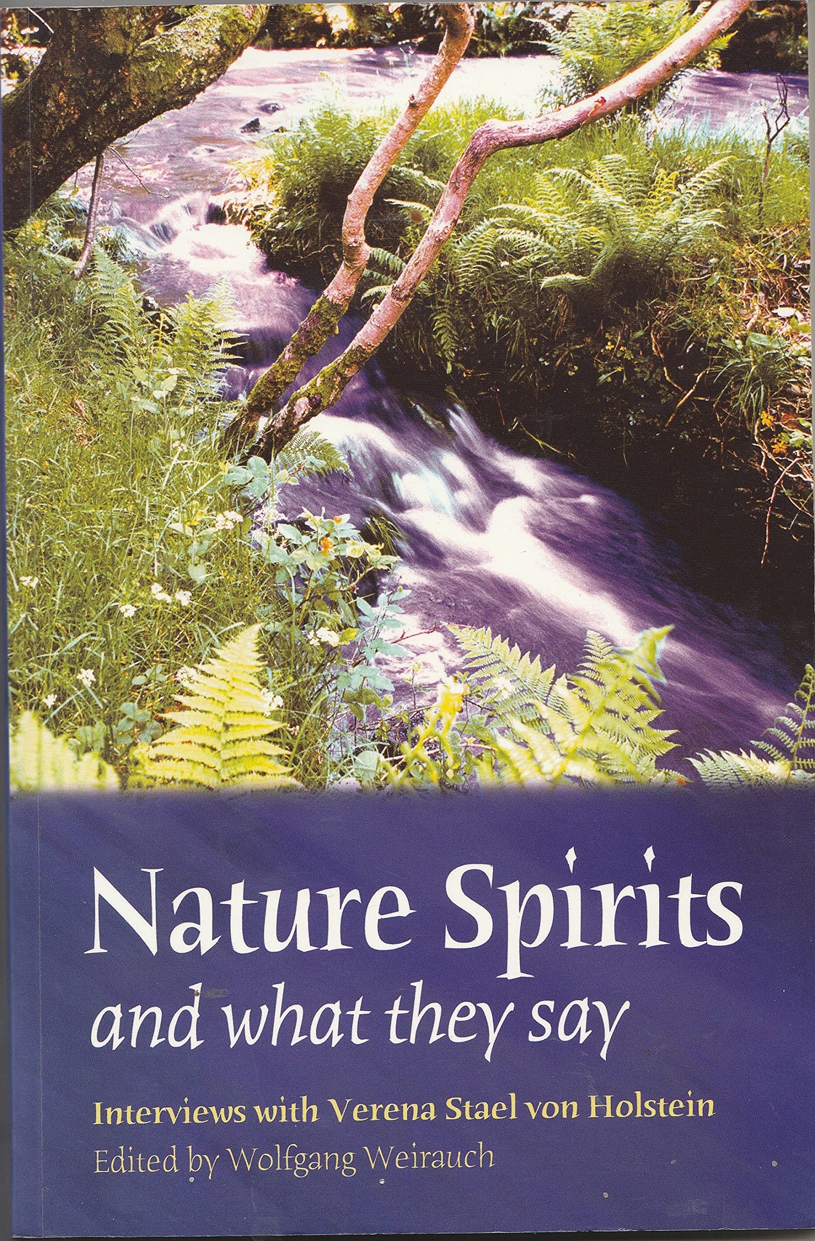 Nature Spirits And What They Say: Interviews With Verena Stael Holstein,Used