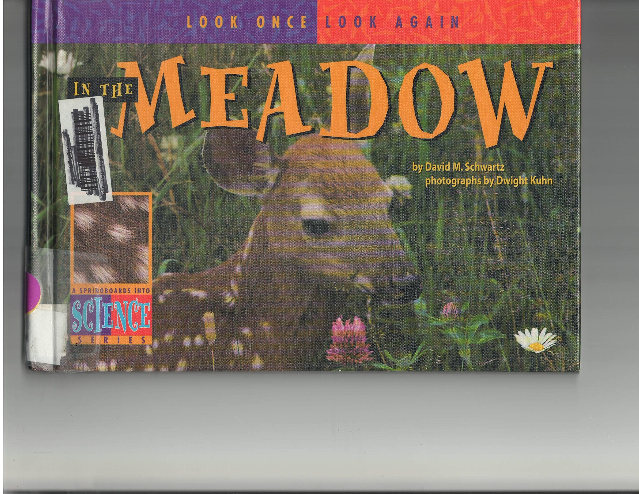 In the Meadow (Look Once, Look Again),Used