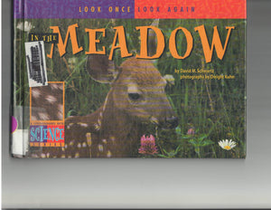 In the Meadow (Look Once, Look Again),Used
