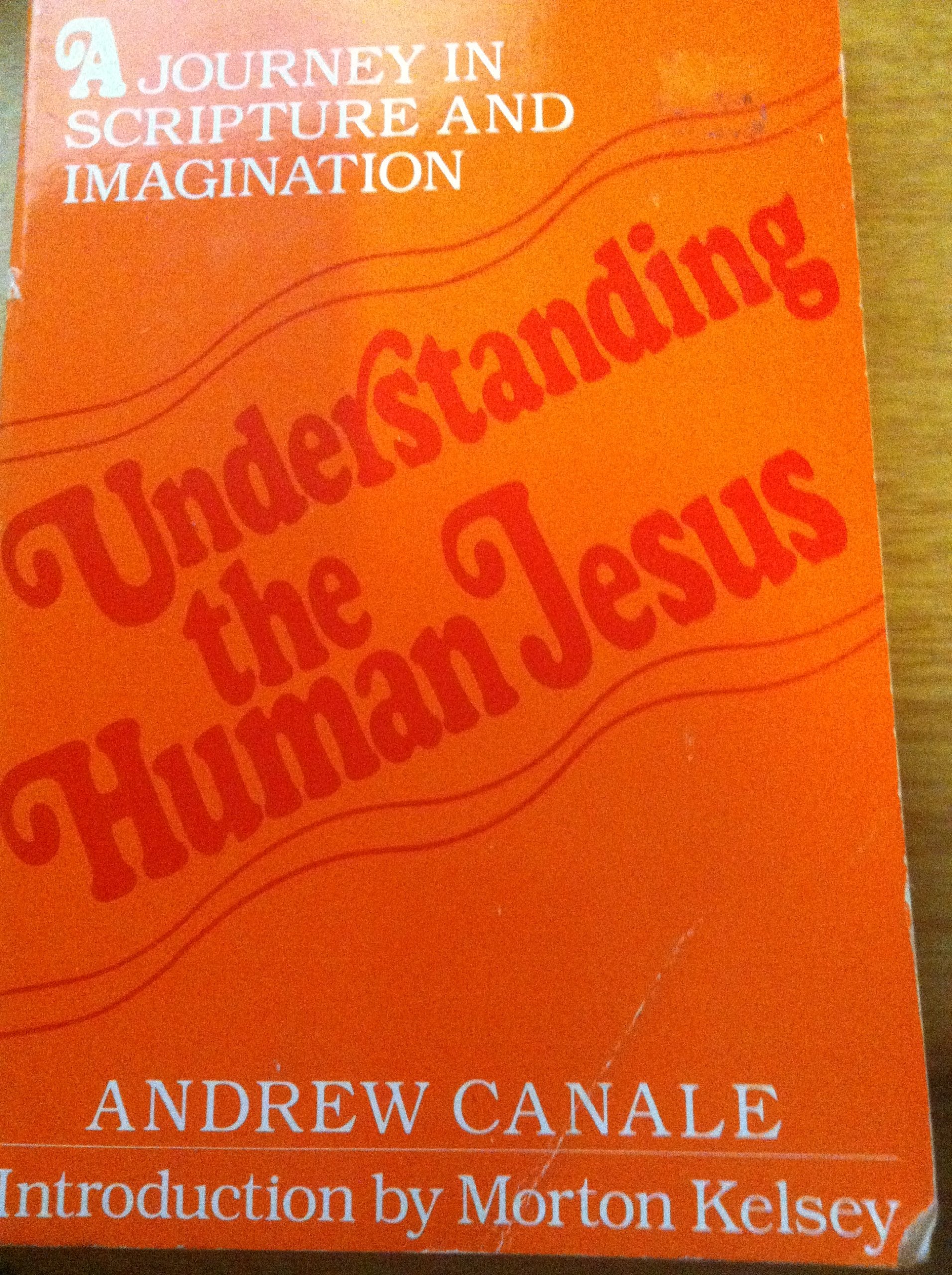 Understanding The Human Jesus: A Journey In Scripture And Imagination,Used