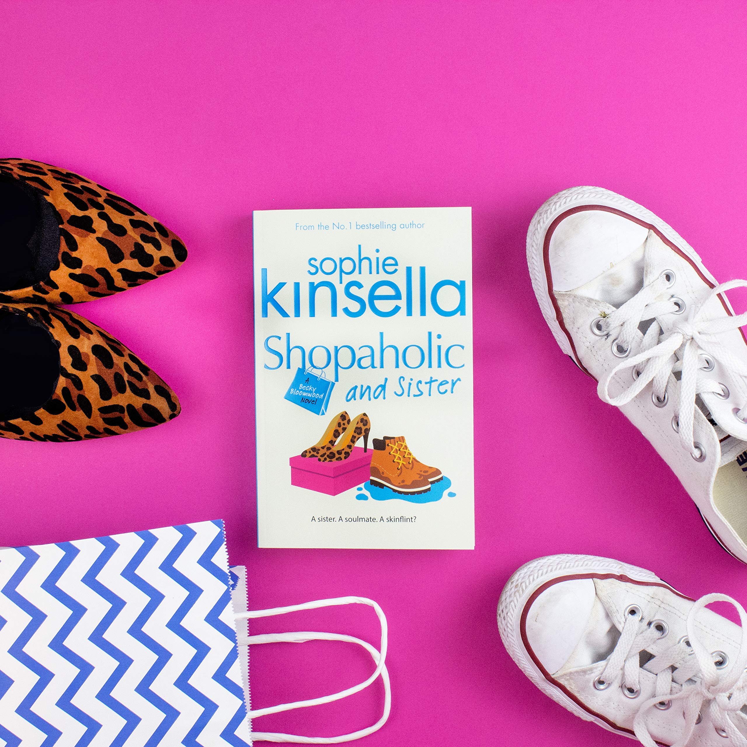 Shopaholic and Sister,Used